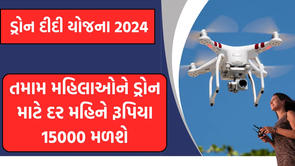 pm drone didi yojana 2024 gujarat 